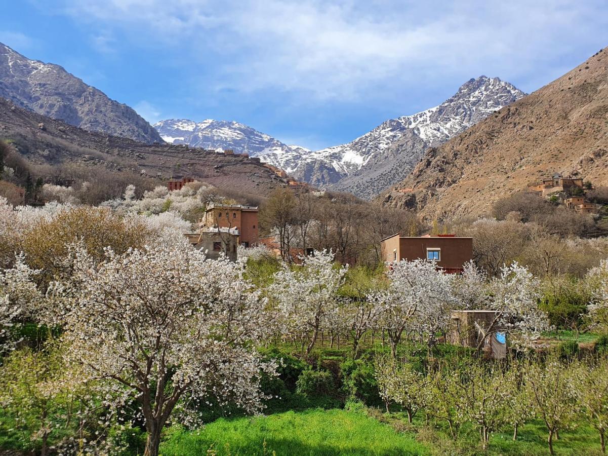 Dar Assarou - Toubkal National Park Lodge Imlil  Extérieur photo